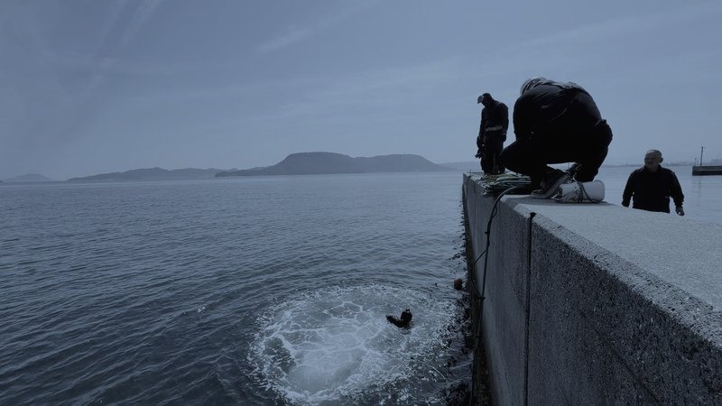 岸壁から海へ飛び込む潜水士